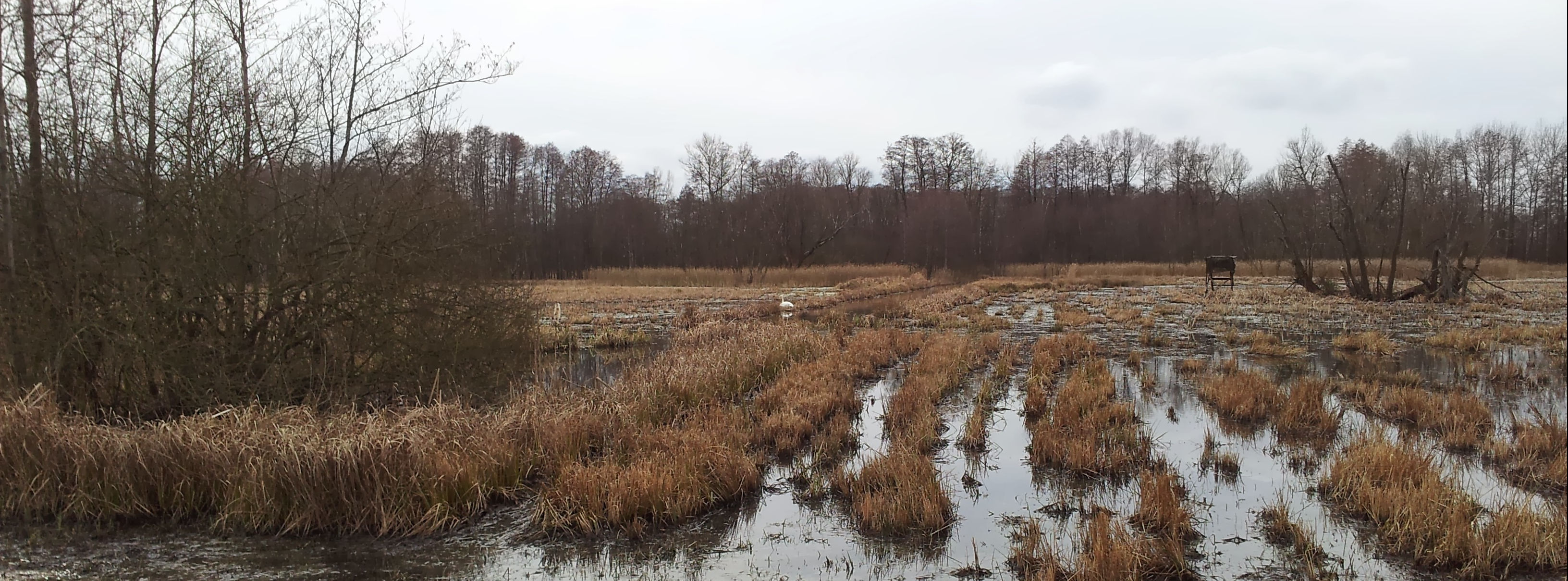 Store Spreewald - Entdecken Sie die Moorlandschaft 2 Nächte ab 89,-